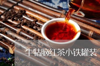 牛牯脑红茶小铁罐装/2023042015168