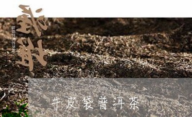 牛皮袋普洱茶/2023081886382