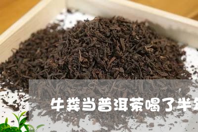 牛粪当普洱茶喝了半年/2023080295937