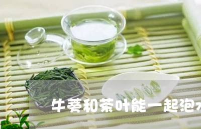 牛蒡和茶叶能一起泡水喝吗/2023051249493