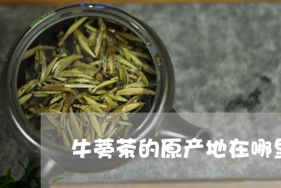 牛蒡茶的原产地在哪里/2023071547395