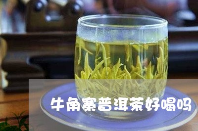 牛角寨普洱茶好喝吗/2023082722937