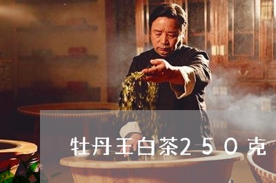 牡丹王白茶250克/2023121585051