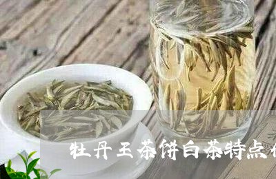 牡丹王茶饼白茶特点介绍/2023082679204