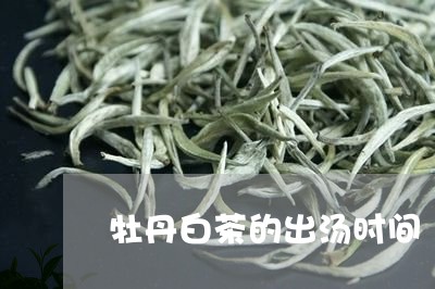 牡丹白茶的出汤时间/2023122226362