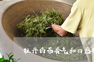 牡丹白茶香气和口感特点/2023102706259