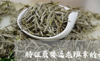 特征最接近老班章的茶/2023092465269