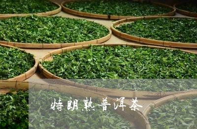 特朗熟普洱茶/2023101644736