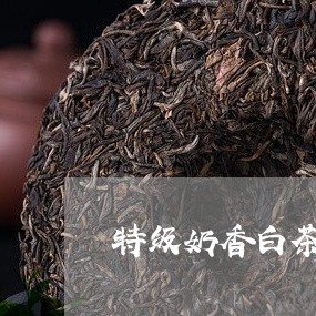 特级奶香白茶是什么茶种/2023082596158