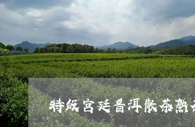 特级宫廷普洱散茶熟茶/2023092404926