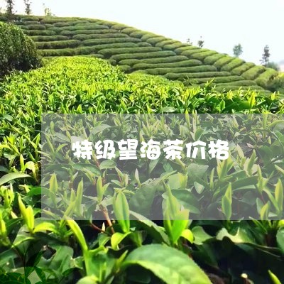 特级望海茶价格/2023050199091