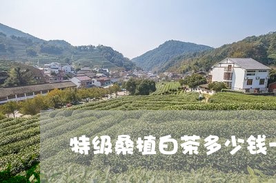 特级桑植白茶多少钱一斤/2023102726158