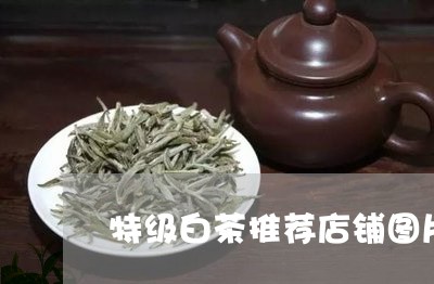 特级白茶推荐店铺图片/2023100256361