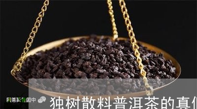 独树散料普洱茶的真假/2023092631815