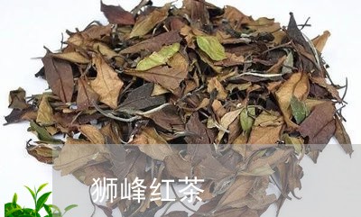 狮峰红茶/2023121952407