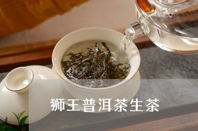 狮王普洱茶生茶/2023102616472