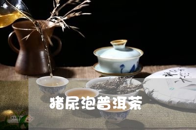 猪尿泡普洱茶/2023042767812