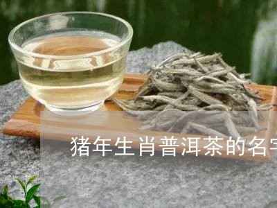 猪年生肖普洱茶的名字/2023062306042