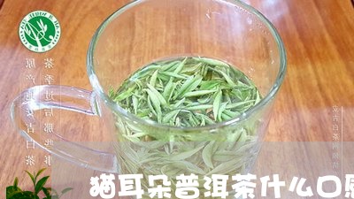 猫耳朵普洱茶什么口感/2023080174068