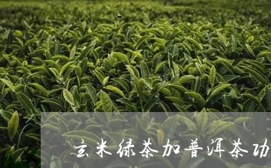 玄米绿茶加普洱茶功效与作用/2023121889491
