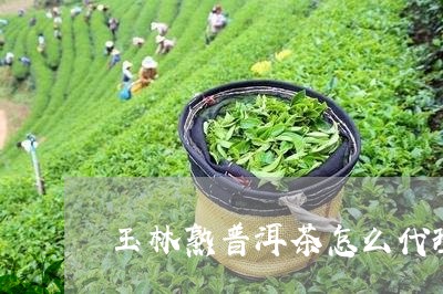 玉林熟普洱茶怎么代理/2023061463948