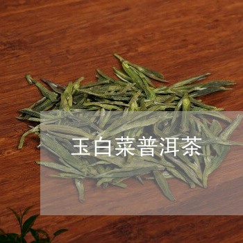 玉白菜普洱茶/2023042787453