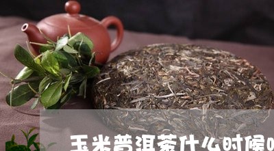 玉米普洱茶什么时候喝好/2023102414916