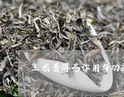 玉米普洱茶作用与功效及禁忌/2023121868269