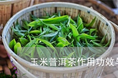 玉米普洱茶作用功效与禁忌/2023121847461