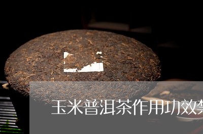 玉米普洱茶作用功效禁忌/2023121804360