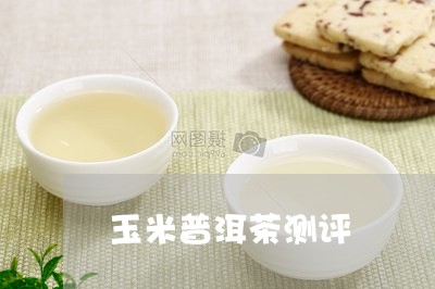 玉米普洱茶测评/2023082698470