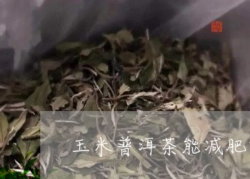 玉米普洱茶能减肥吗孕妇/2023121881603