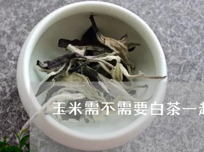 玉米需不需要白茶一起煮/2023102788279