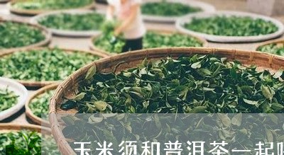 玉米须和普洱茶一起喝/2023061532833