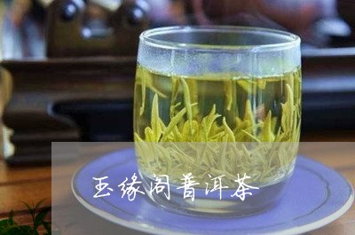 玉缘阁普洱茶/2023042825172