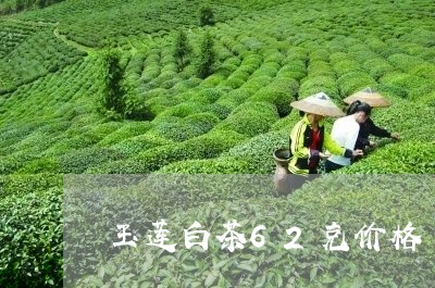 玉莲白茶62克价格/2023121527671