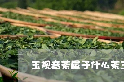 玉观音茶属于什么茶玉观音茶叶价格/2023060484060