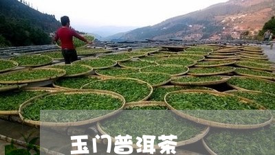 玉门普洱茶/2023090548371