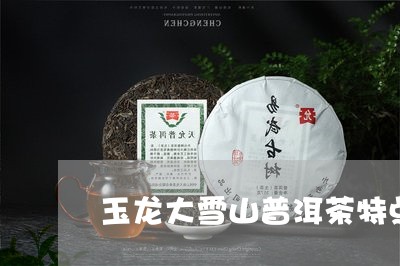 玉龙大雪山普洱茶特点/2023110758505