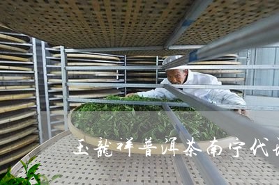 玉龙祥普洱茶南宁代理/2023092529594