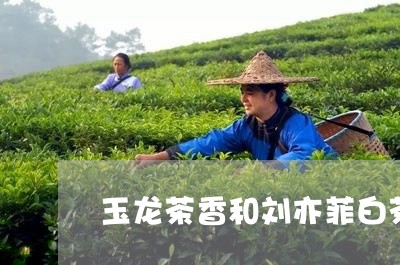 玉龙茶香和刘亦菲白茶/2023100254816