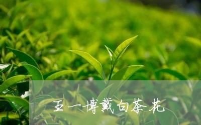 王一博戴白茶花/2023060268272