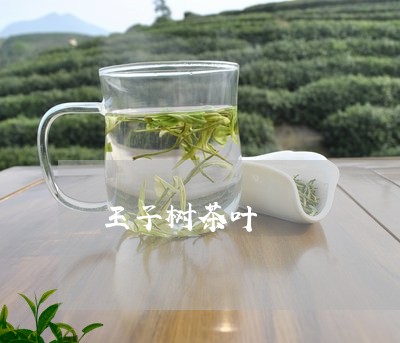 王子树茶叶/2023041769922