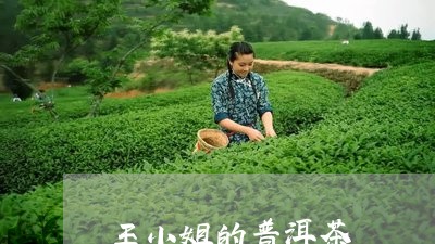 王小姐的普洱茶/2023102672603