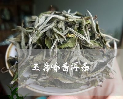 王彦峰普洱茶/2023102583615