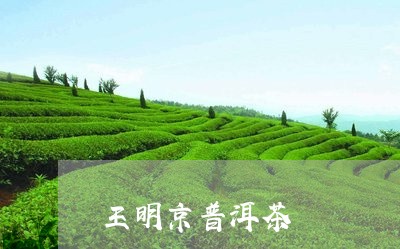 王明京普洱茶/2023091136179