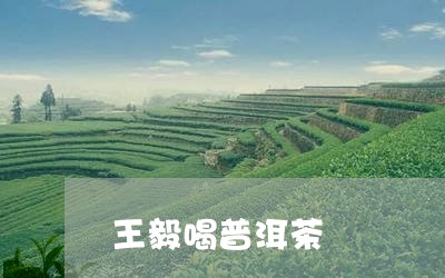 王毅喝普洱茶/2023042962857