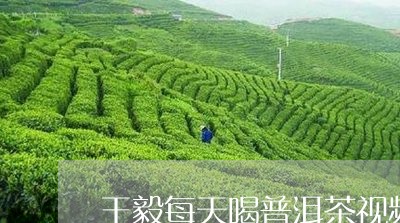 王毅每天喝普洱茶视频/2023072405827