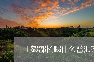 王毅部长喝什么普洱茶/2023062449484