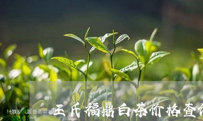 王氏福鼎白茶价格查询/2023120867705